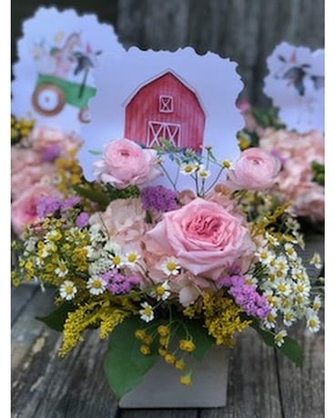 Welcome Little One Red Barn Flower Arrangement