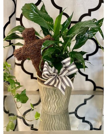 Peace Lily Keepsake Plant