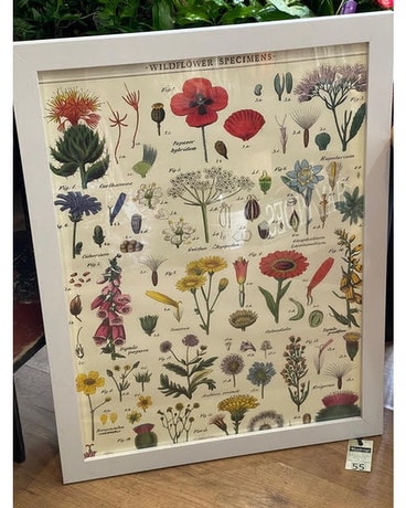 Wildflower Specimens Botanical Frame Custom product