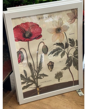 Botany Botanical Print Custom product