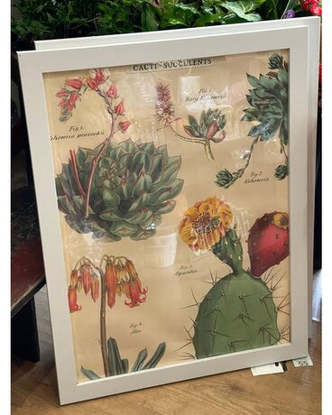 Cacti & Succulents Botanical Frame Custom product