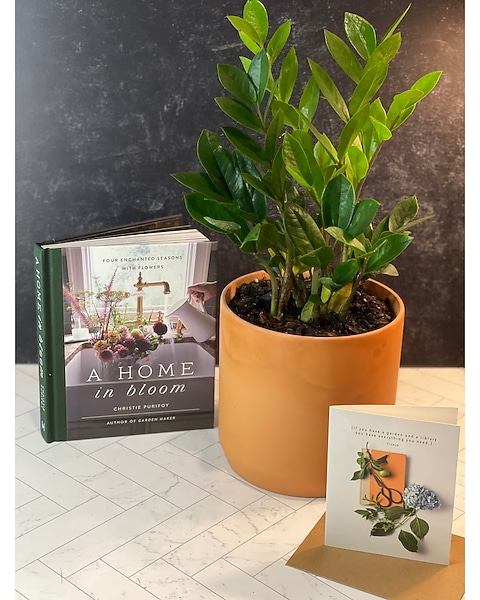 natural pesticide for indoor plants Instant Plant Protection main image 1