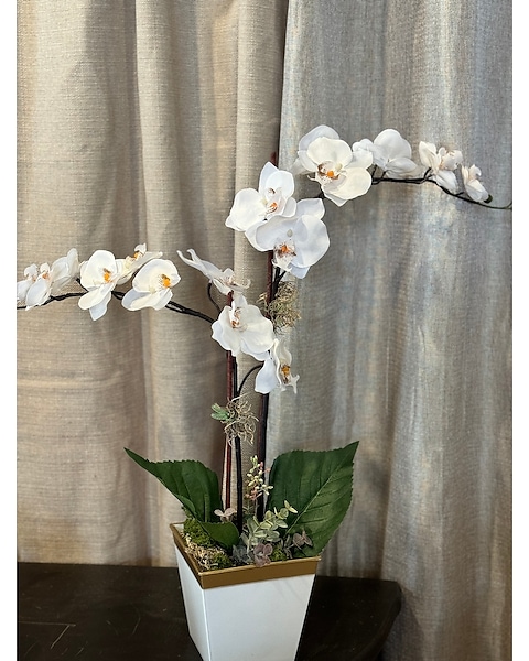 Faux Double White Orchid Stem Pottery