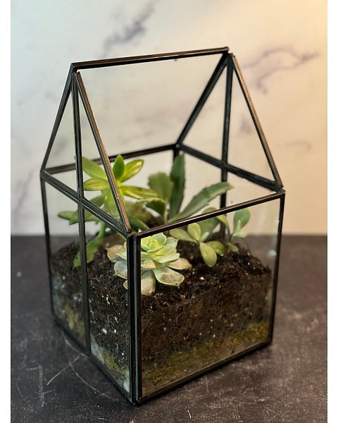 Glass terrarium succulent house in Sewickely PA - Heritage Floral Shoppe &  Flower Delivery