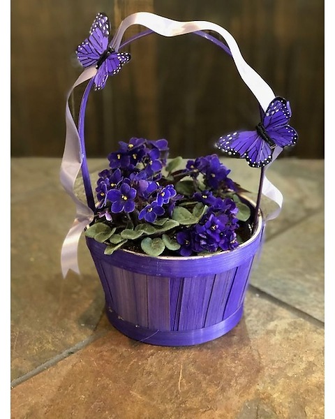 Basket of Violets with Butterfly