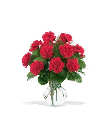 12 Red Carnations Flower Arrangement