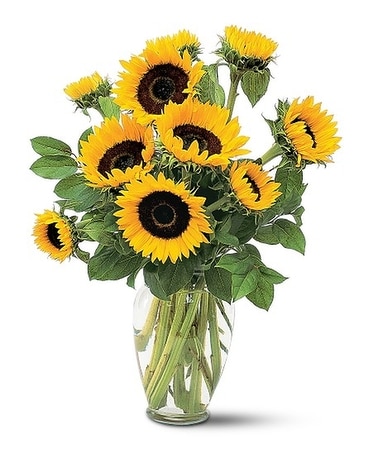 Shining Sunflowers Flower Arrangement