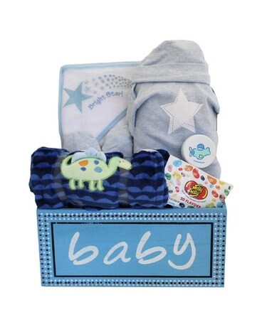 Baby Boy Gift Basket Gift Basket