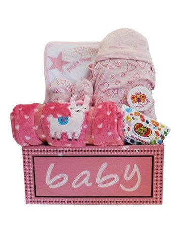 Baby Girl Gift Basket Gift Basket