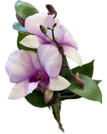 Purple Orchid Boutonniere Boutonniere