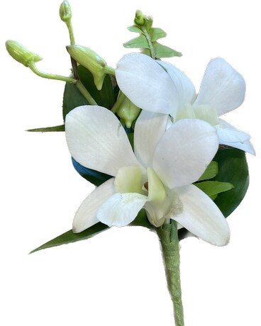White Orchid Boutonniere Boutonniere