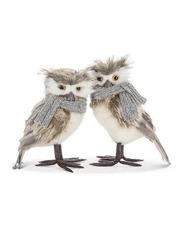 Small Owl with Scarf Gifts
