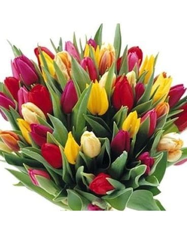 Tulip Bouquet Wrapped Flowers