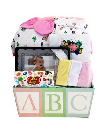 ABC Baby Girl Gift Basket Gift Basket