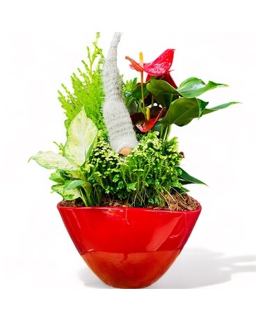 Large Gnome Planter Dish Garden Plant