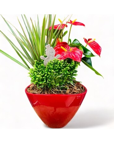 Frosty Snow Planter Dish Garden Plant