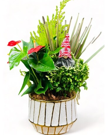 Glittering Gnome Planter Dish Garden Plant