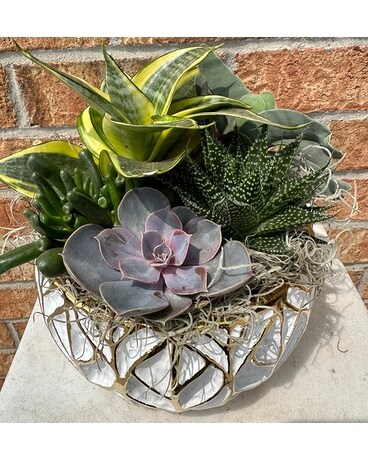 Gold Leaf Succulent Planter Dish Garden Plant