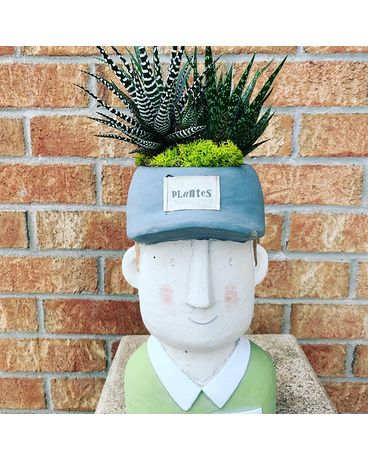 Stoneware with Succulents Dish Garden Plant