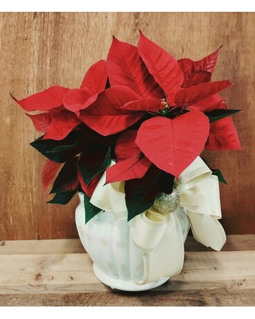 Classic Tabletop Poinsettia Flower Arrangement