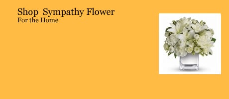 Beautiful Seasonal Flowers Banner