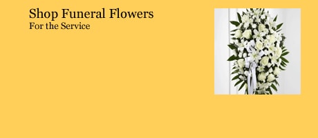 Beautiful Seasonal Flowers Banner