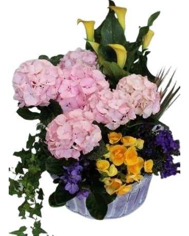 Mother's Day Planter Dish Garden Plant