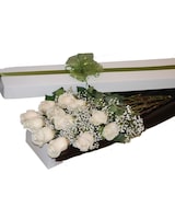 12 roses size,  inches height and  inches wide.