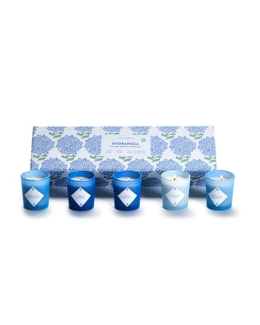 Hydrangea Votive Set Gifts