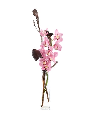Bold and Beautiful Cymbidium Orchid Flower Arrangement