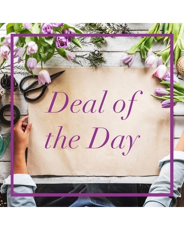Blooming Plant Deal of the Day Plant