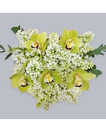 Green Orchids Flower Arrangement