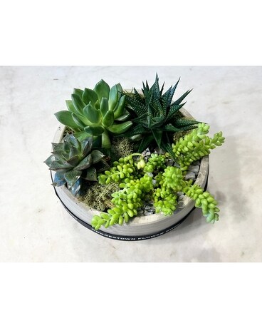 Succulent Garden Flower Arrangement