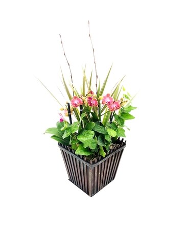 Orchid Planter Box Flower Arrangement