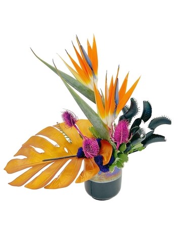 Topical Fly Trap Flower Arrangement