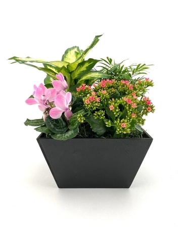European Planter Flower Arrangement