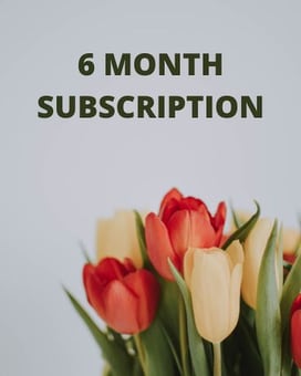 6 Month Subscription