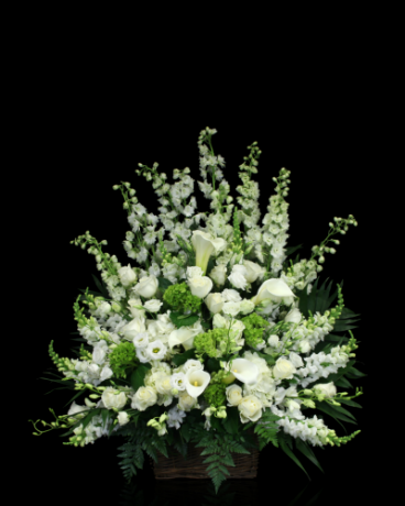 Blanc Calla Lily Sympathy Basket in Boston MA - Stapleton Floral