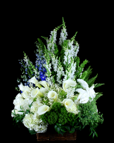 Sapphire Calla Lily Sympathy Basket in Boston MA - Stapleton Floral