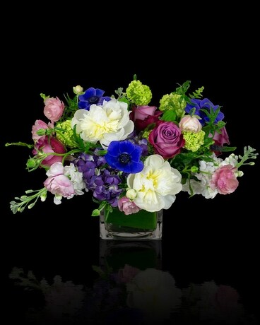 Crown Jewel in Boston MA - Stapleton Floral