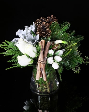 Woodland Snowfall in Boston MA - Stapleton Floral