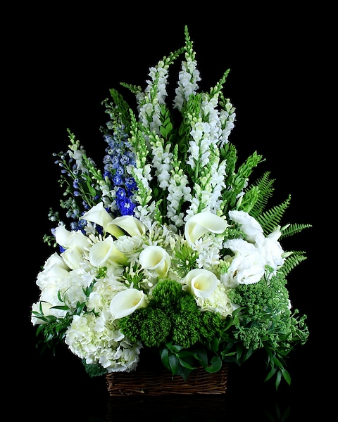 Calla Lily in Basket