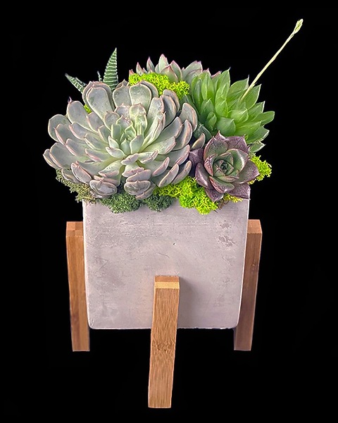 solar powered grow lights for indoor plants SolarSystem 550 Programmable Spectrum LED main image 1