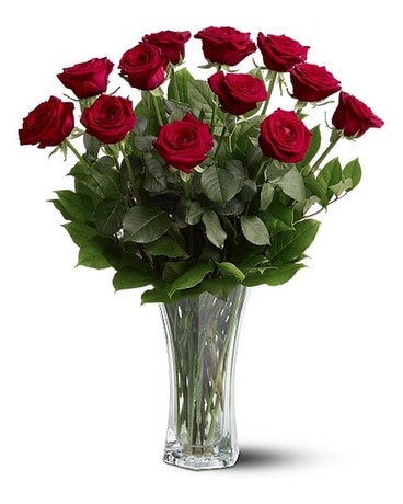 Dozen Long Stem Red Roses Flower Arrangement