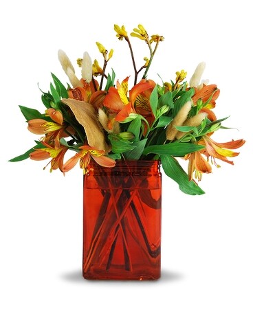 Wild & Free Flower Arrangement