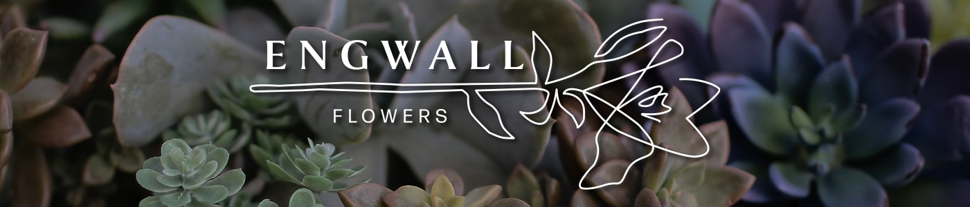 Flower Delivery to Duluth by Engwall Florist & Gifts