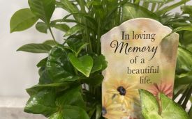 Sympathy Gallery, Sympathy Gallery
