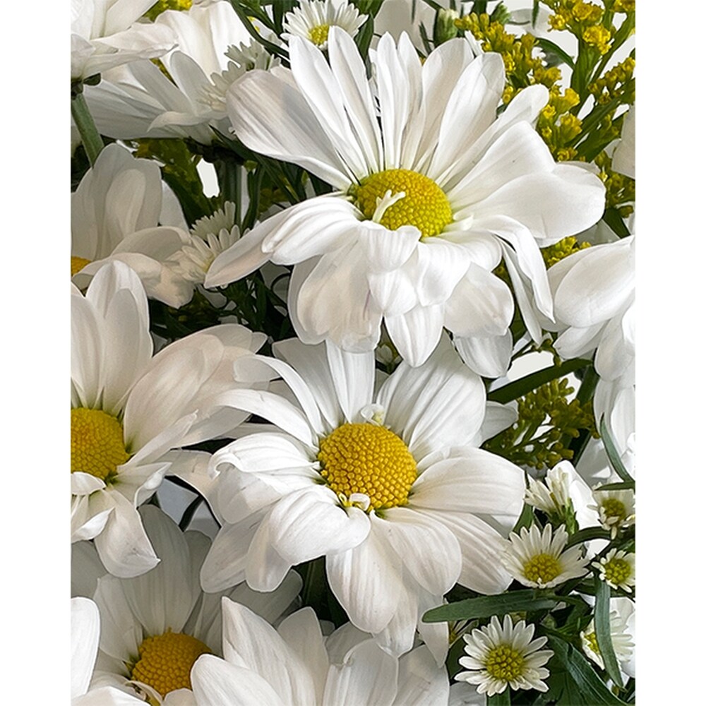 【for ★daisy★様】オーダー品 Daisy Mario Party 8 Top card Nintendo Hudson Soft Japanese b | eBay