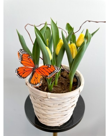 Tulip Garden Flower Arrangement