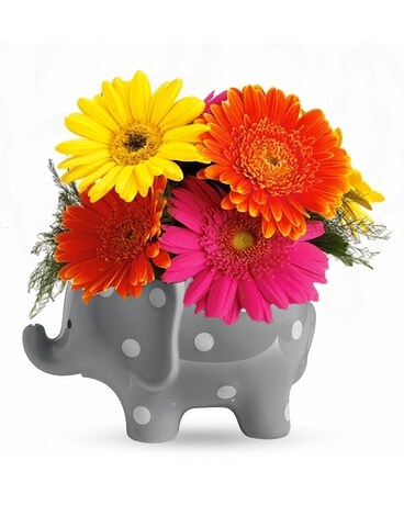 Baby Blooms Flower Arrangement